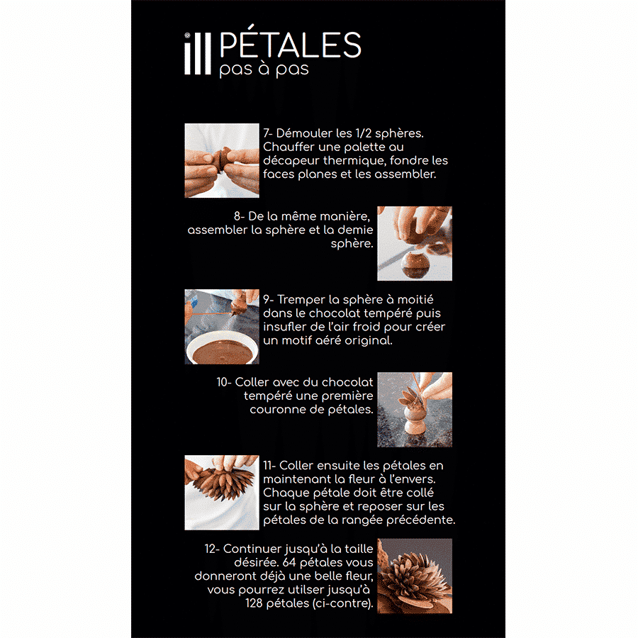 PETALES 4