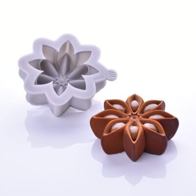 Moule anis étoilé PG illDESIGN France